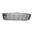 Grille de radiateur BLIC 5601-00-3528991P - Visuel 1