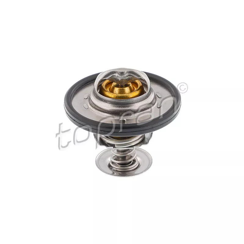 Thermostat d'eau TOPRAN 302 141