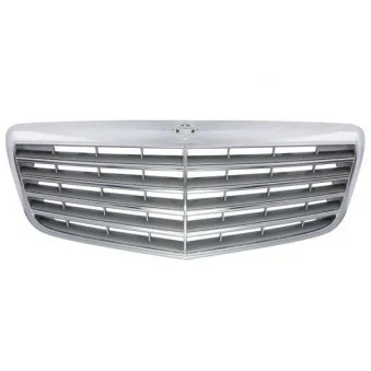 Grille de radiateur BLIC 5601-00-3528992P