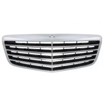 Grille de radiateur BLIC 5601-00-3528993P