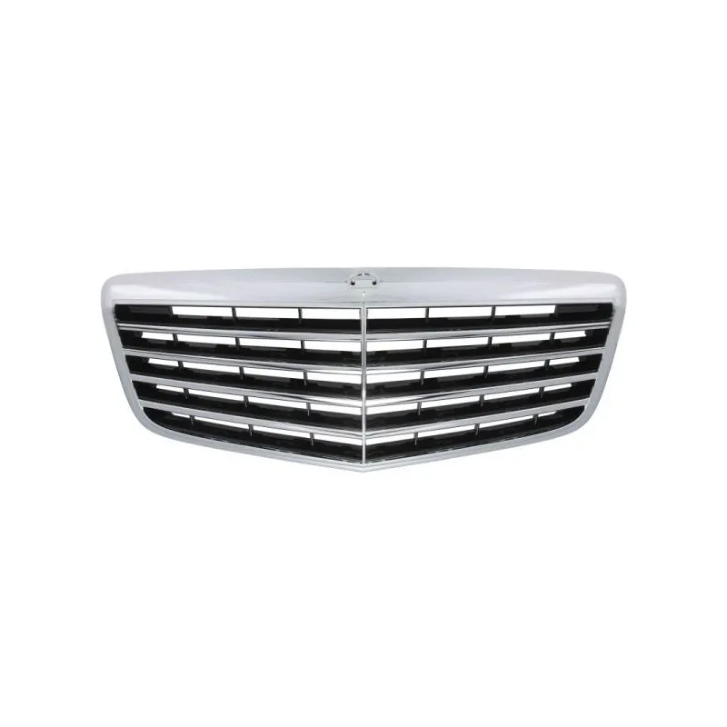 Grille de radiateur BLIC 5601-00-3528993P