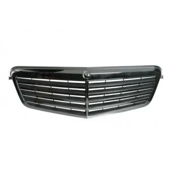 Grille de radiateur BLIC 5601-00-3529991Q