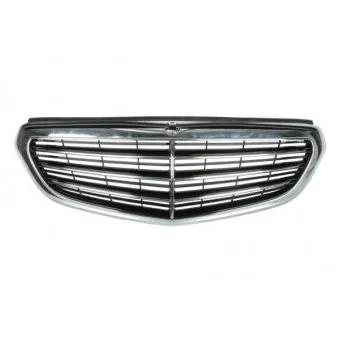 Grille de radiateur BLIC 5601-00-3529994P