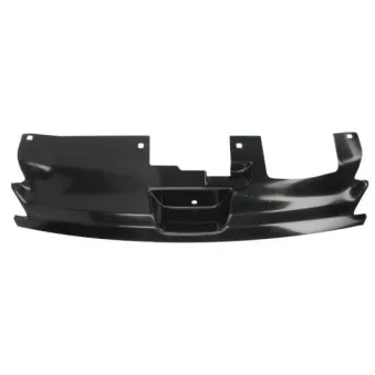 Grille de radiateur BLIC 5601-00-5513996P
