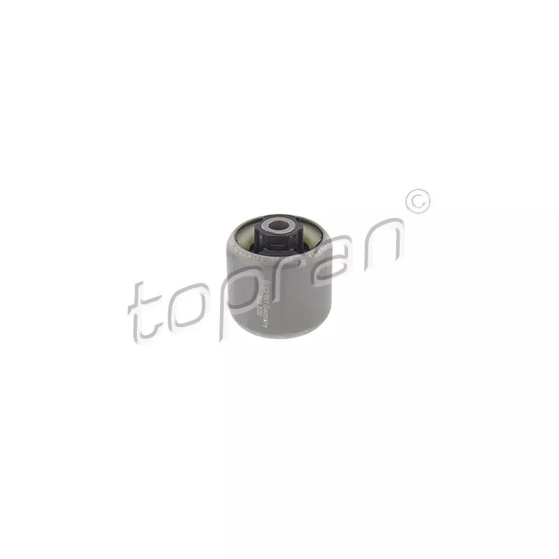 Suspension, corps de l'essieu TOPRAN 302 320