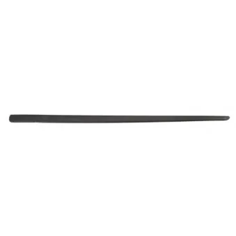 Baguette et bande protectrice, aile avant droit BLIC 5703-02-2023484P