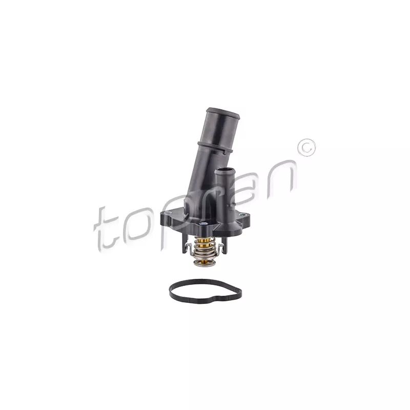Thermostat d'eau TOPRAN 302 800