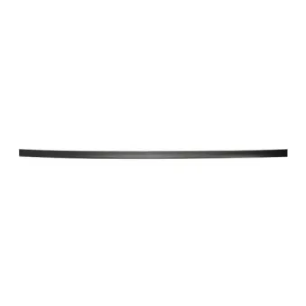 Baguette et bande protectrice, aile avant gauche BLIC 5703-04-0014571P
