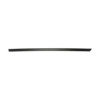 Baguette et bande protectrice, aile arrière gauche BLIC 5703-04-0014573P