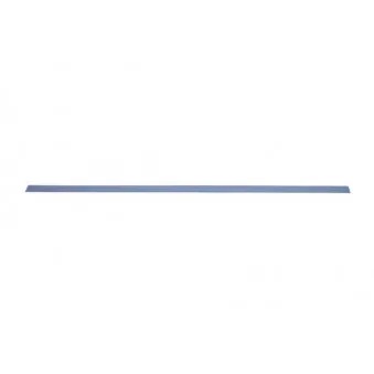 Baguette et bande protectrice, aile avant droit BLIC 5703-04-0014576P