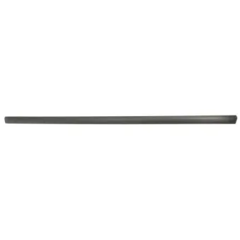 Baguette et bande protectrice, aile avant gauche BLIC 5703-04-0019571P