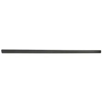 Baguette et bande protectrice, porte avant droit BLIC 5703-04-0019572P