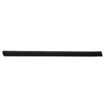 Baguette et bande protectrice, porte arrière droit BLIC 5703-04-0019574P