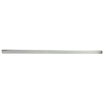Baguette et bande protectrice, aile avant droit BLIC 5703-04-0019576P