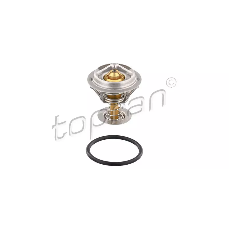 Thermostat d'eau TOPRAN 304 519