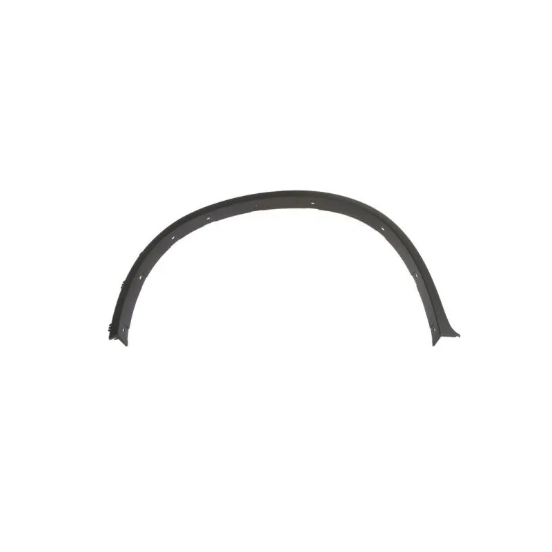 Baguette et bande protectrice, aile avant gauche BLIC 5703-04-0099421P