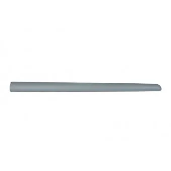 Baguette et bande protectrice, aile avant gauche BLIC 5703-04-0519575P