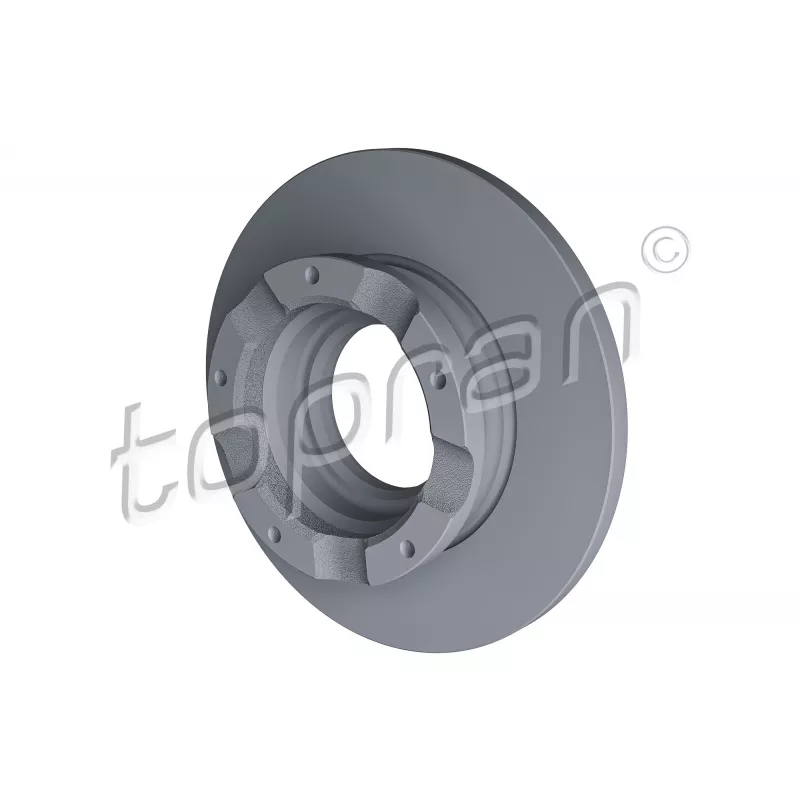 Jeu de 2 disques de frein arrière TOPRAN 305 045