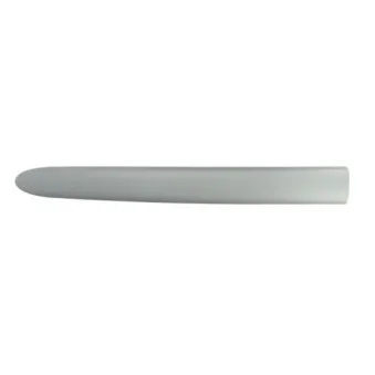 Baguette et bande protectrice, aile avant droit BLIC 5703-04-0536575P