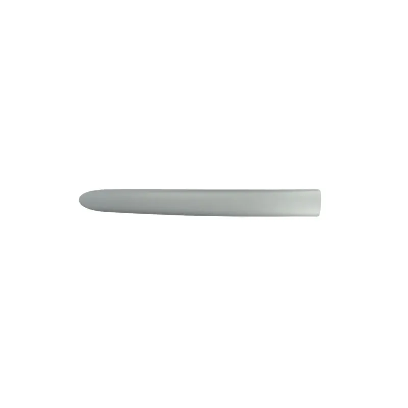 Baguette et bande protectrice, aile avant droit BLIC 5703-04-0536575P