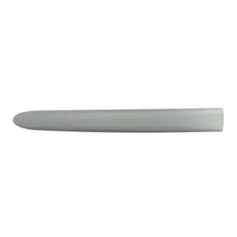Baguette et bande protectrice, aile avant droit BLIC 5703-04-0536576P