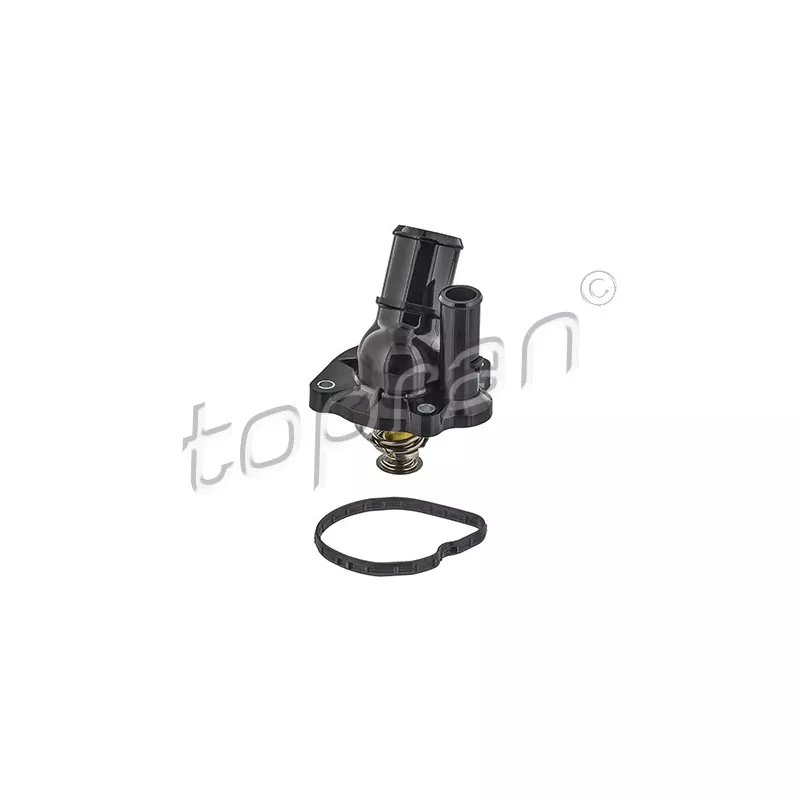 Thermostat d'eau TOPRAN 305 137