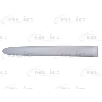 Baguette et bande protectrice, aile arrière gauche BLIC 5703-04-0536577P