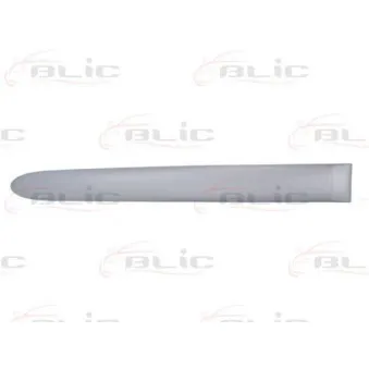 Baguette et bande protectrice, aile arrière droit BLIC 5703-04-0536578P