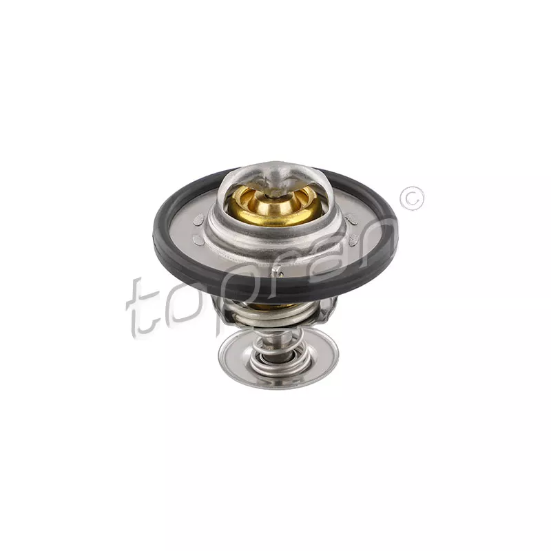 Thermostat d'eau TOPRAN 305 170
