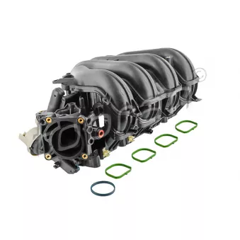 Module de tube d'admission TOPRAN 305 271