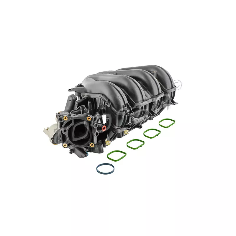 Module de tube d'admission TOPRAN 305 271