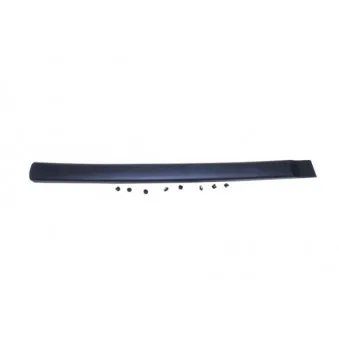 Baguette et bande protectrice, aile avant droit BLIC 5703-04-0550572P