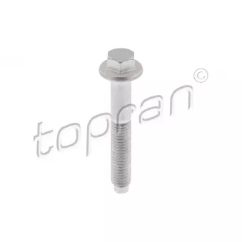 Vis, support pour controleur d'injecteurs TOPRAN 306 103