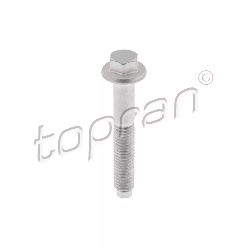 Vis, support pour controleur d'injecteurs TOPRAN 306 103