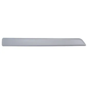 Baguette et bande protectrice, porte avant gauche BLIC 5703-04-0553575P
