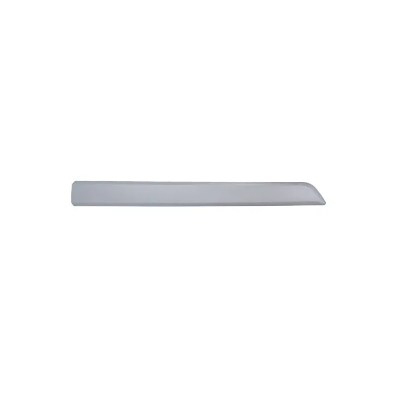 Baguette et bande protectrice, porte avant gauche BLIC 5703-04-0553575P