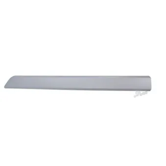 Baguette et bande protectrice, porte avant droit BLIC 5703-04-0553576P