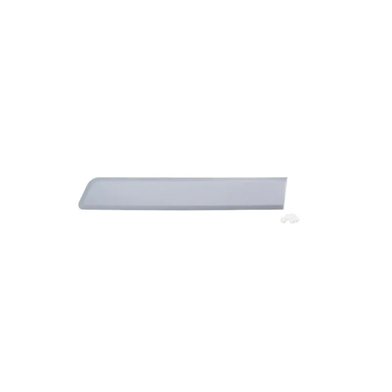 Baguette et bande protectrice, porte arrière gauche BLIC 5703-04-0553577P