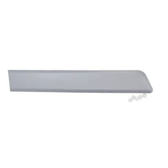 Baguette et bande protectrice, porte arrière droit BLIC 5703-04-0553578P