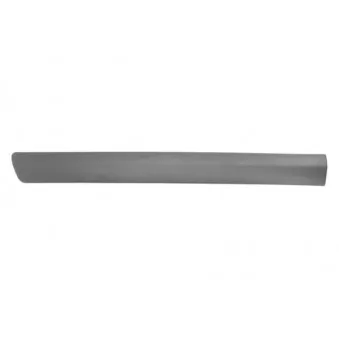 Baguette et bande protectrice, aile avant gauche BLIC 5703-04-1301573P