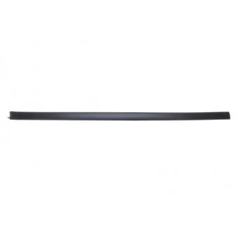 Baguette et bande protectrice, aile avant gauche BLIC 5703-04-2022571P