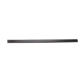 Baguette et bande protectrice, aile avant gauche BLIC 5703-04-2022571PP