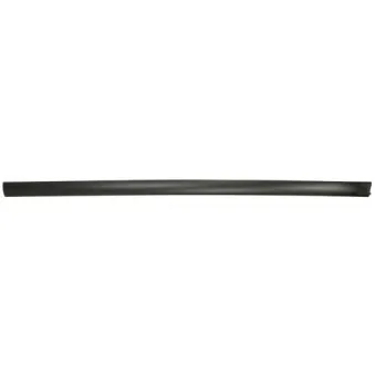 Baguette et bande protectrice, aile avant droit BLIC 5703-04-2022572P