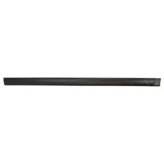 Baguette et bande protectrice, aile avant droit BLIC 5703-04-2022572PP