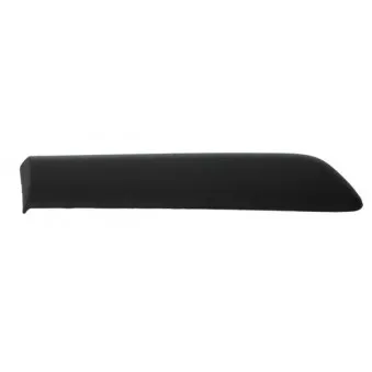 Baguette et bande protectrice, aile arrière droit BLIC 5703-04-2023462P