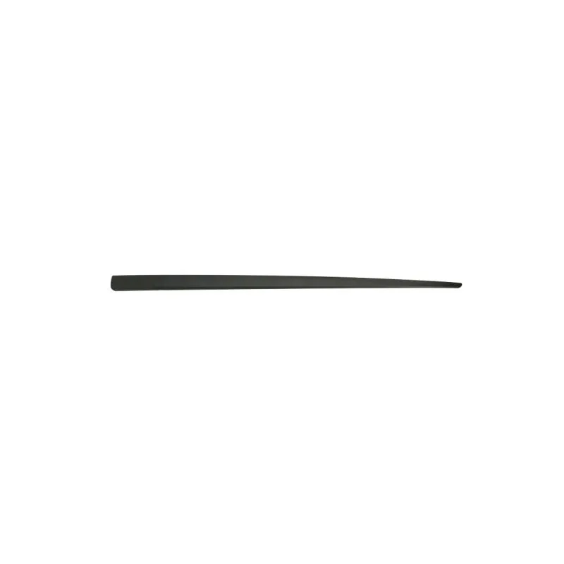 Baguette et bande protectrice, aile avant droit BLIC 5703-04-2023562P