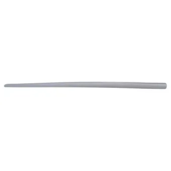 Baguette et bande protectrice, aile avant droit BLIC 5703-04-2023576PP