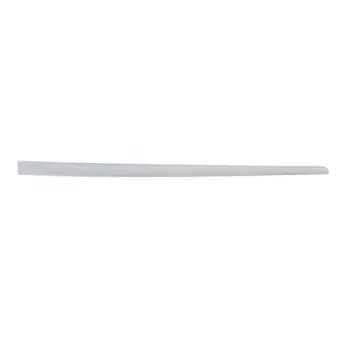 Baguette et bande protectrice, porte arrière droit BLIC 5703-04-2023578P