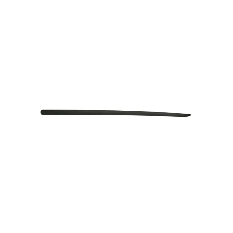 Baguette et bande protectrice, aile avant gauche BLIC 5703-04-2024571P