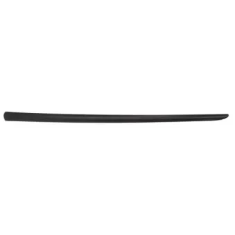 Baguette et bande protectrice, aile avant gauche BLIC 5703-04-2024571PP